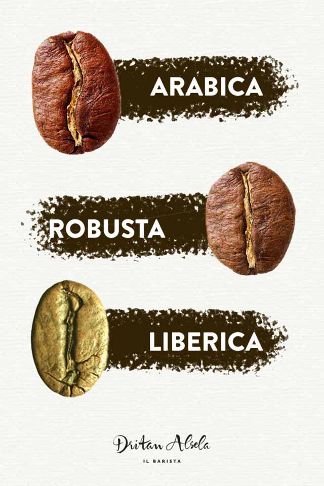 da-dove-arriva-il-caffè-tipi-piantagione-robusta-arabica-liberica-Caffè-Semplice